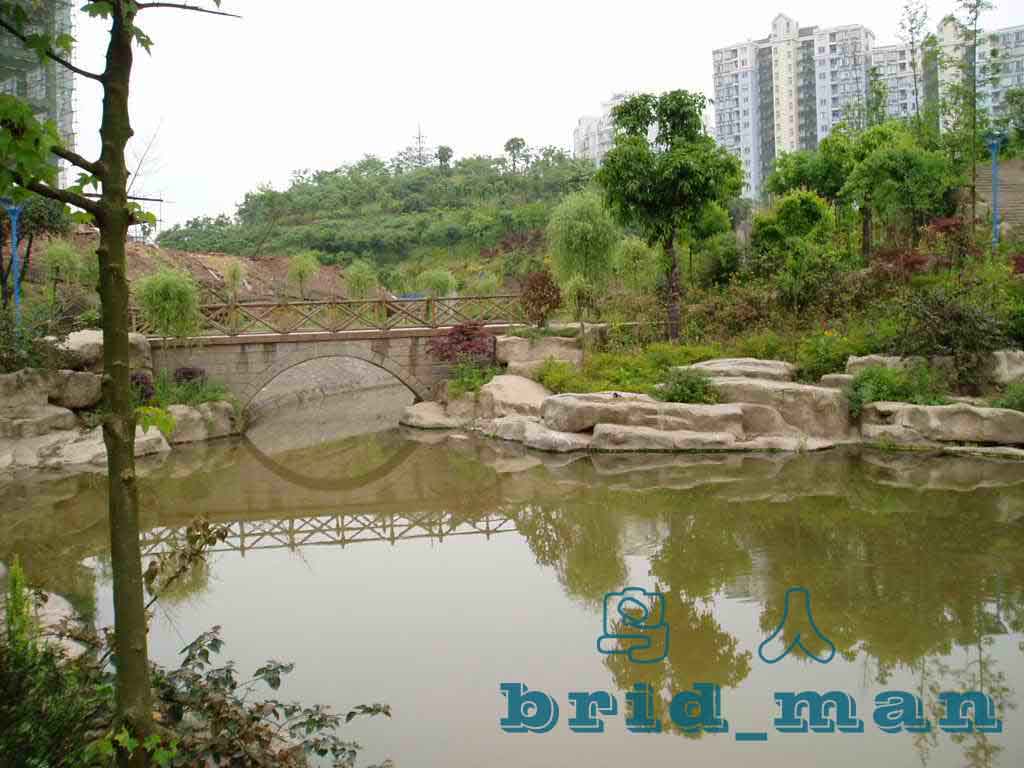 2006.4.24野采之寻找斗鱼 - 【野外探寻、考察