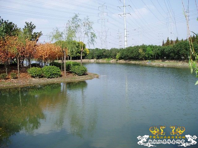 <em>光棍</em>节惊魂(更新<em>鱼</em>、环境) - 【其它原生鱼】 - 