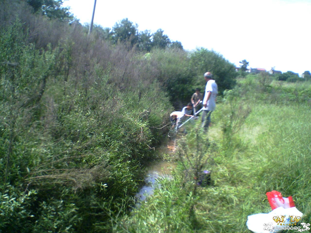 8.30成都某地野采国斗疯狂记录 - 【野外探寻、