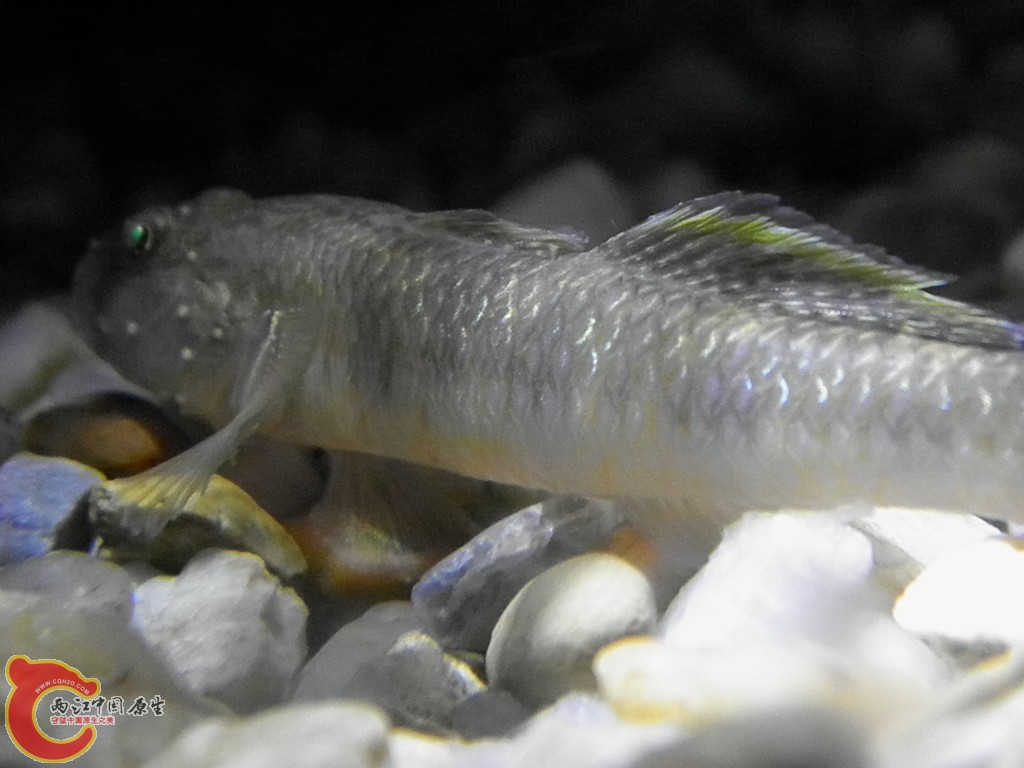 160436wbkhi7ihyi3717rm.jpg
