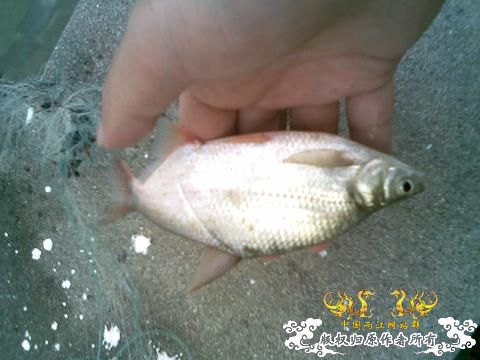 20096262194240910.jpg