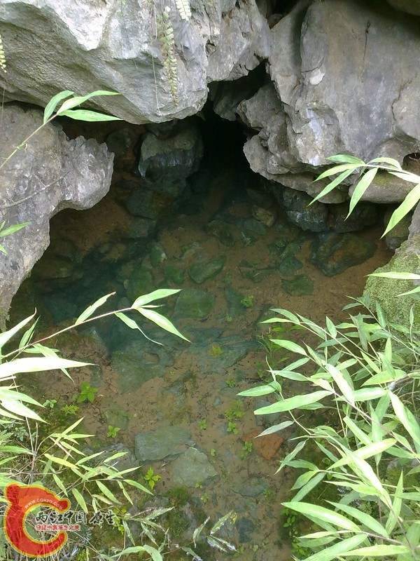 洪刺竹泉眼 - 野外的风景 - 两江中国原生--做中国最好的原生网络