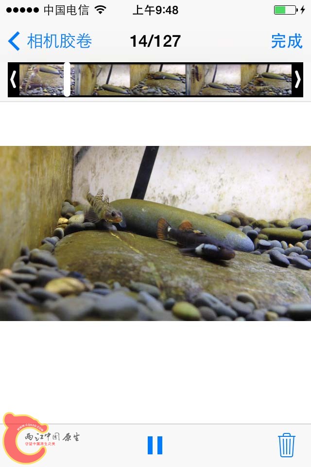 哈库呐玛塔塔(*_*)