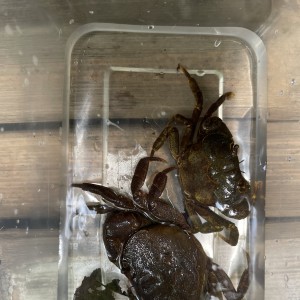 请输入相册名称