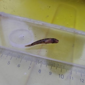 请输入相册名称