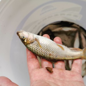 请输入相册名称