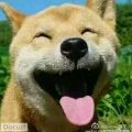 我的相册