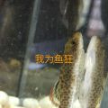 我的相册