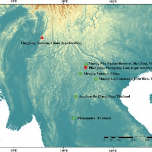 请输入相册名称