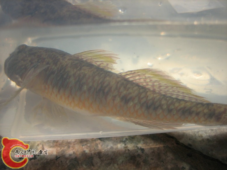 照片2011 096.jpg
