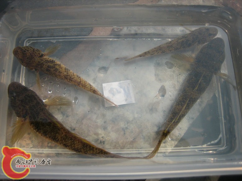 照片2011 097.jpg