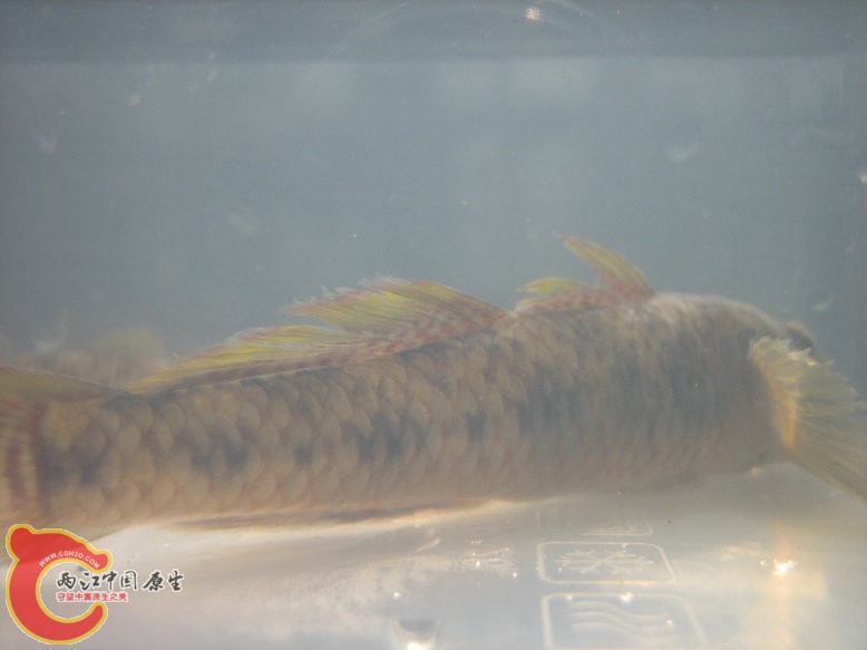 照片2011 099.jpg