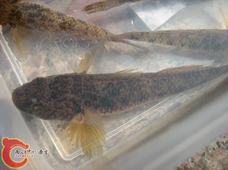 照片2011 101.jpg