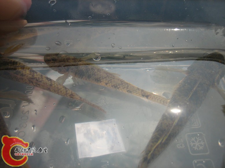 照片2011 100.jpg