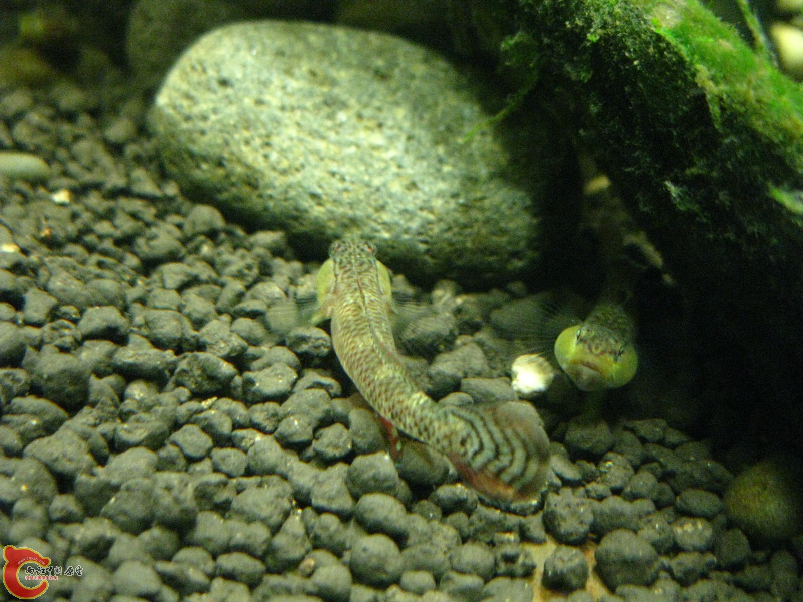 IMG_0064.JPG