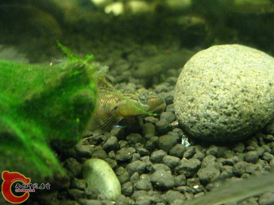 IMG_0058.JPG