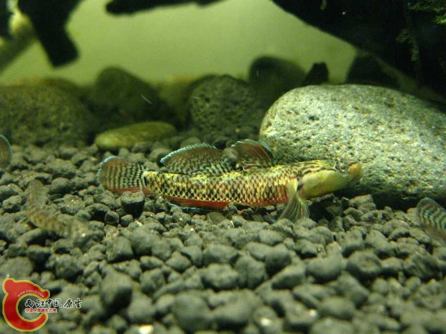 IMG_0050.JPG