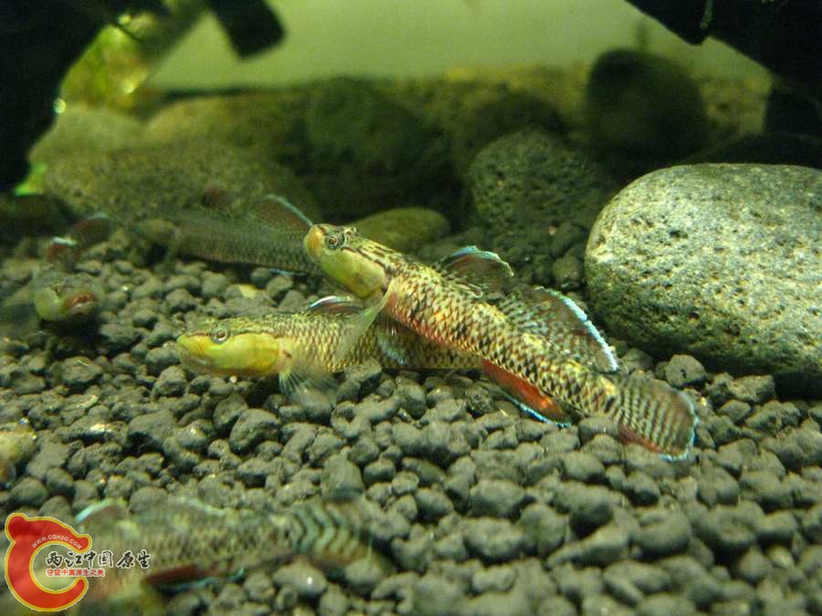 IMG_0042.JPG
