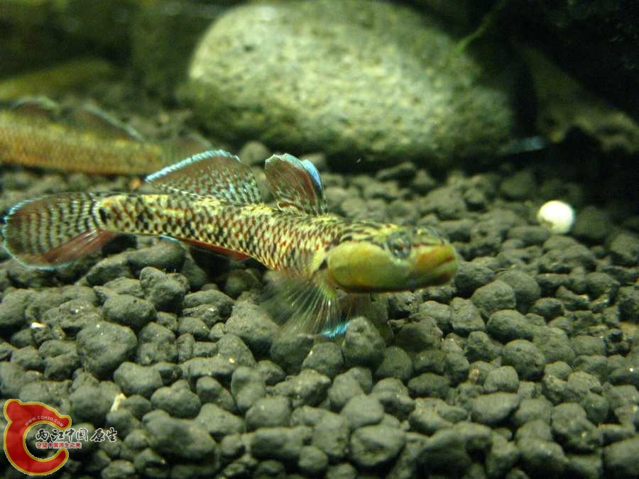 IMG_0040.JPG