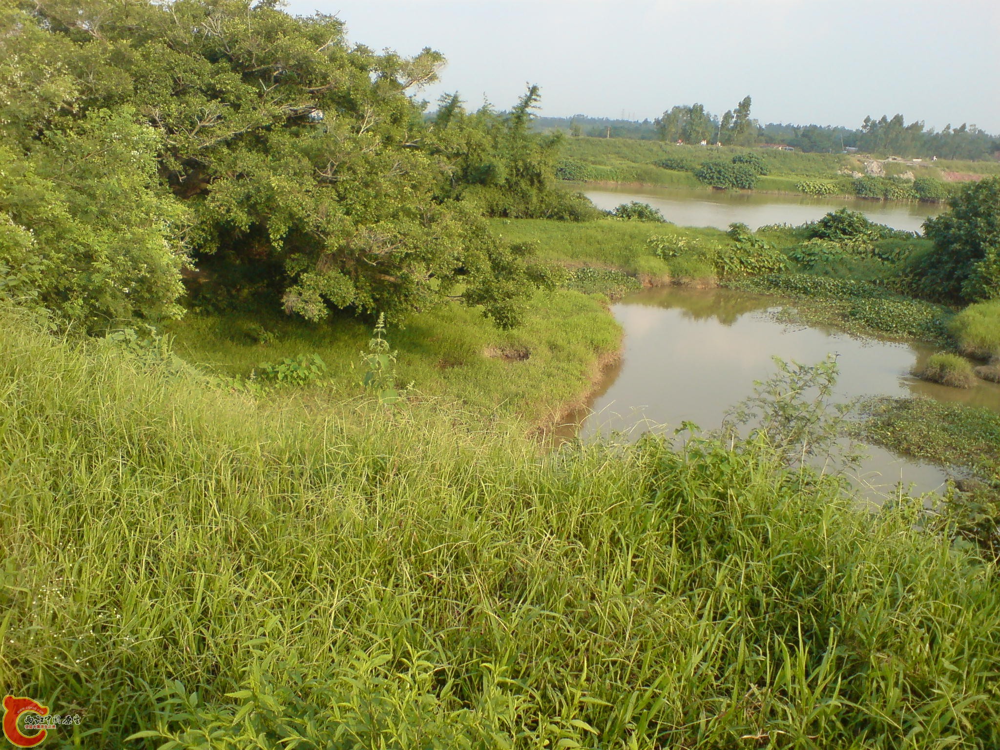 DSC00884.JPG