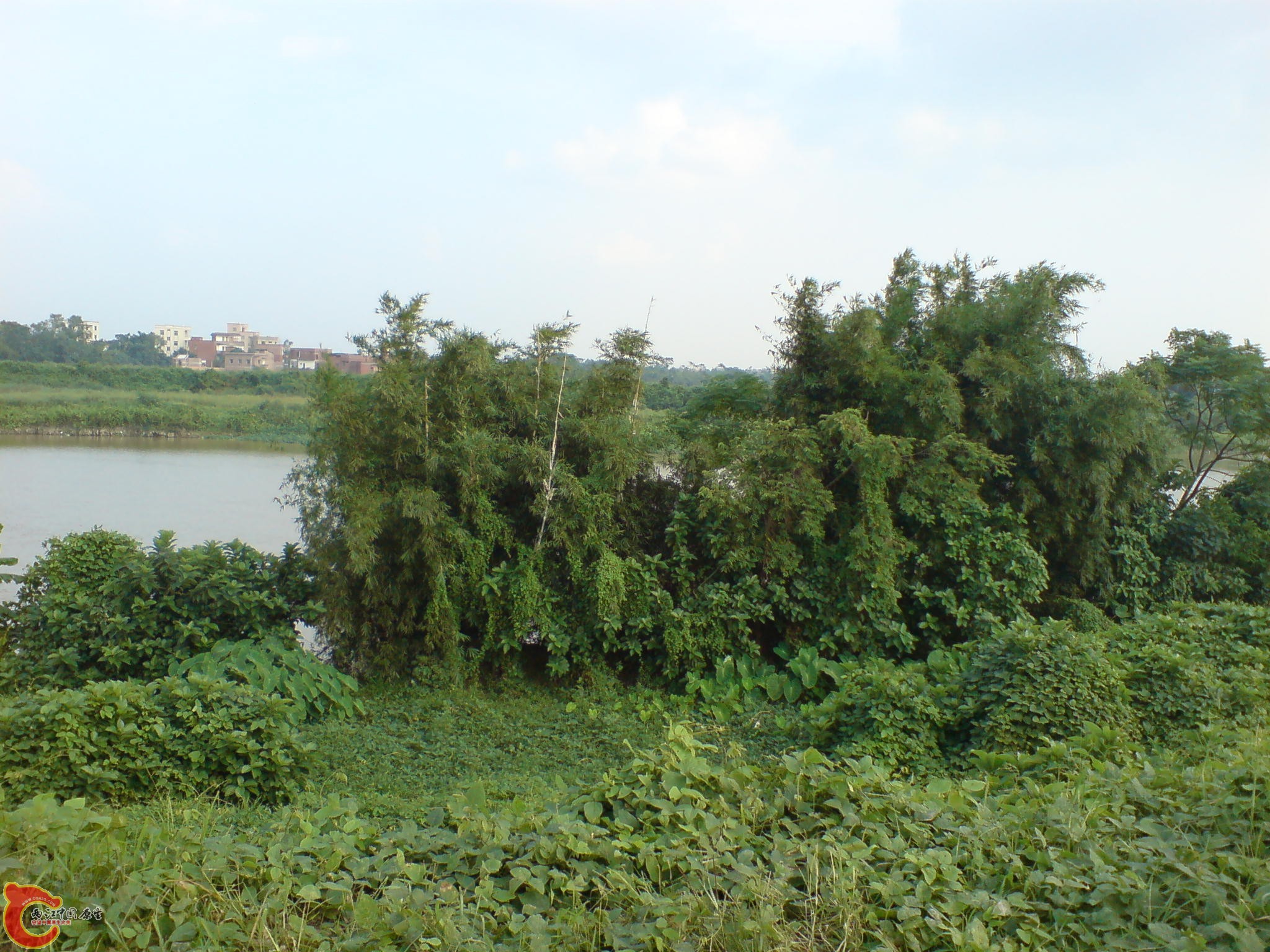 DSC00882.JPG