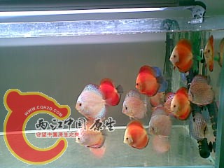 20110225(006).jpg