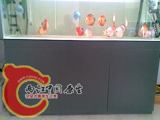 20110226.jpg