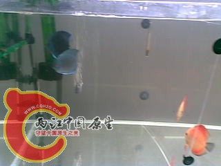 20110227.jpg
