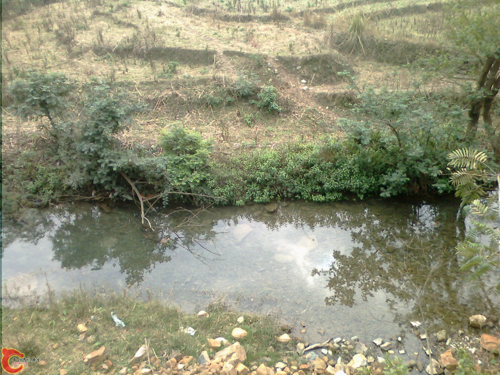 picture_00211.jpg