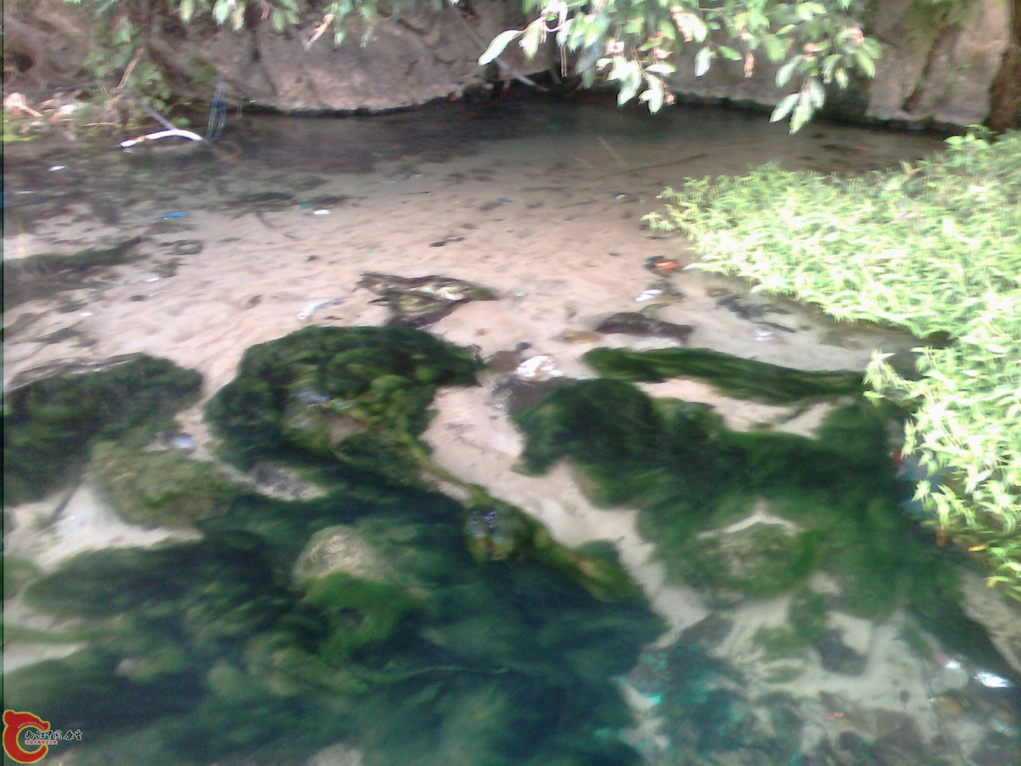 picture_00204.jpg
