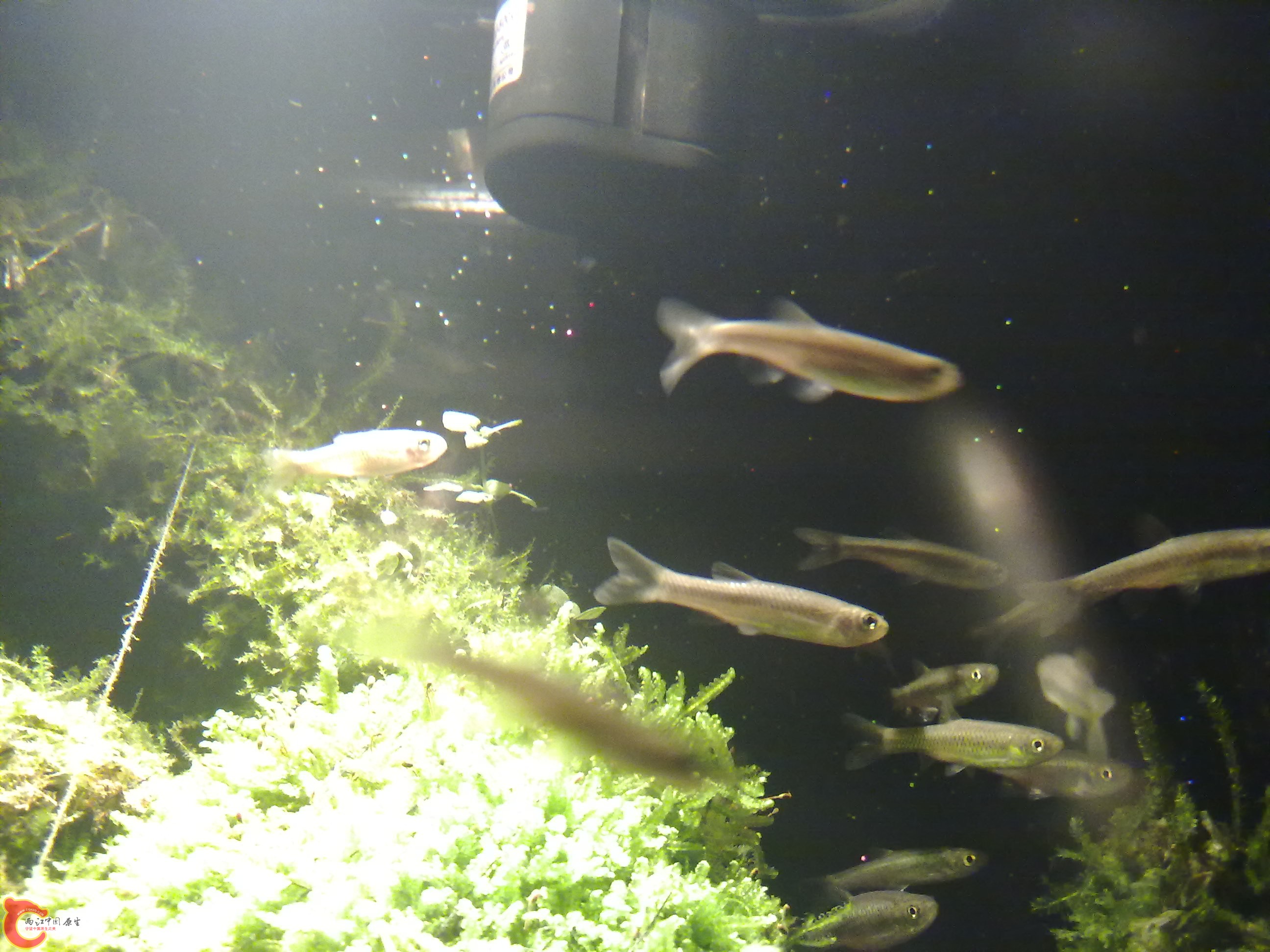 20110301039.jpg