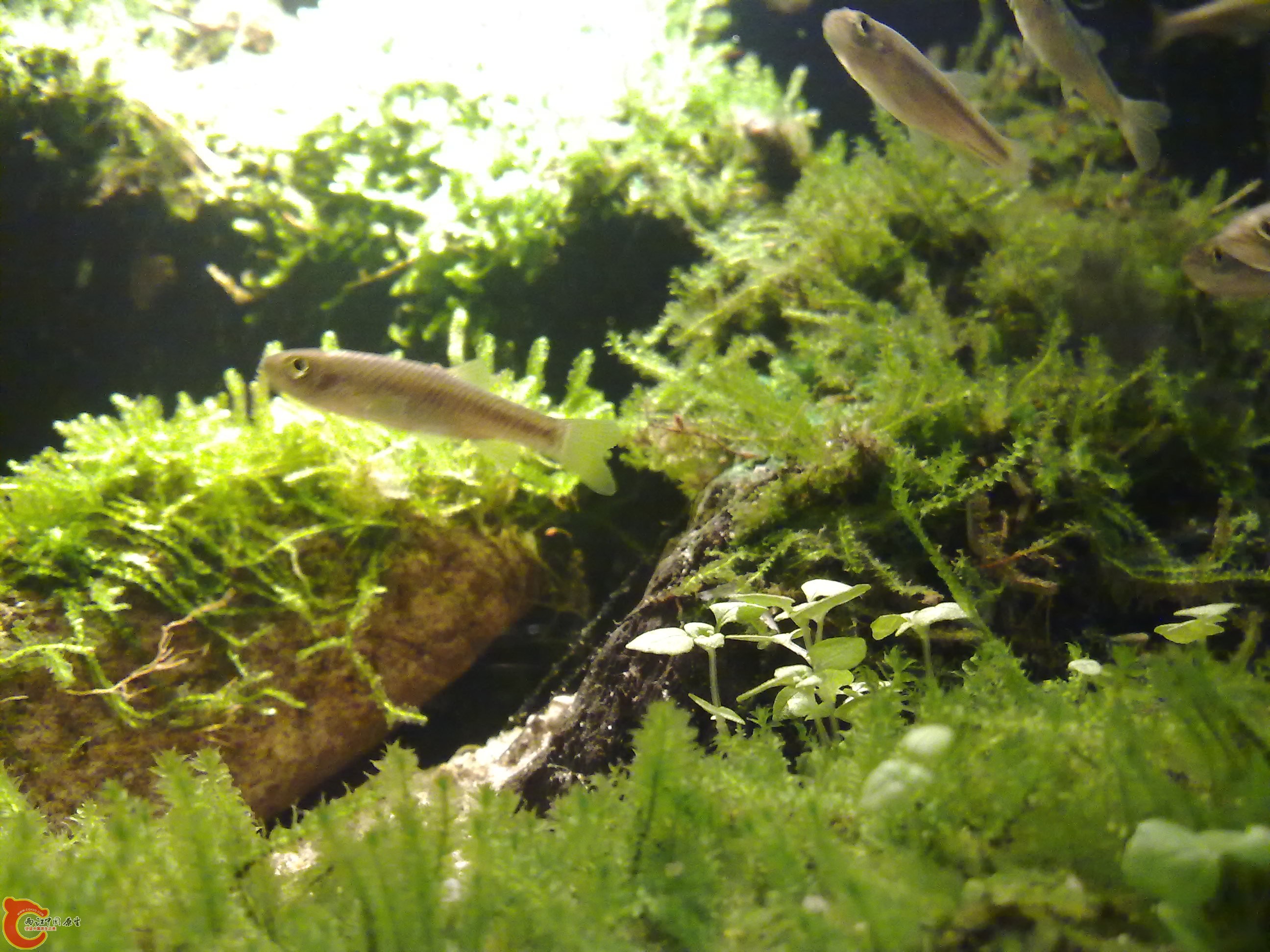 20110301031.jpg