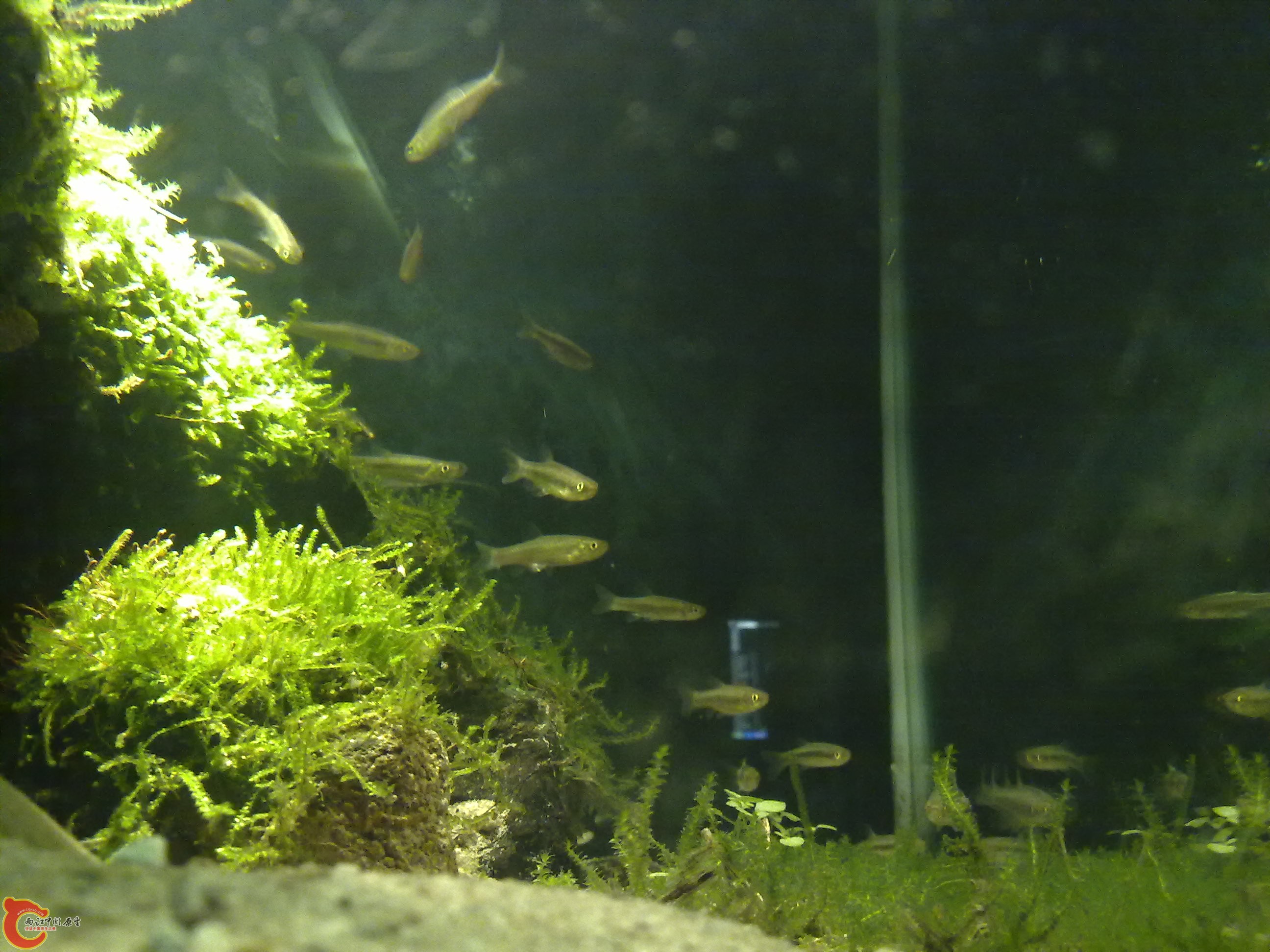 20110301026.jpg