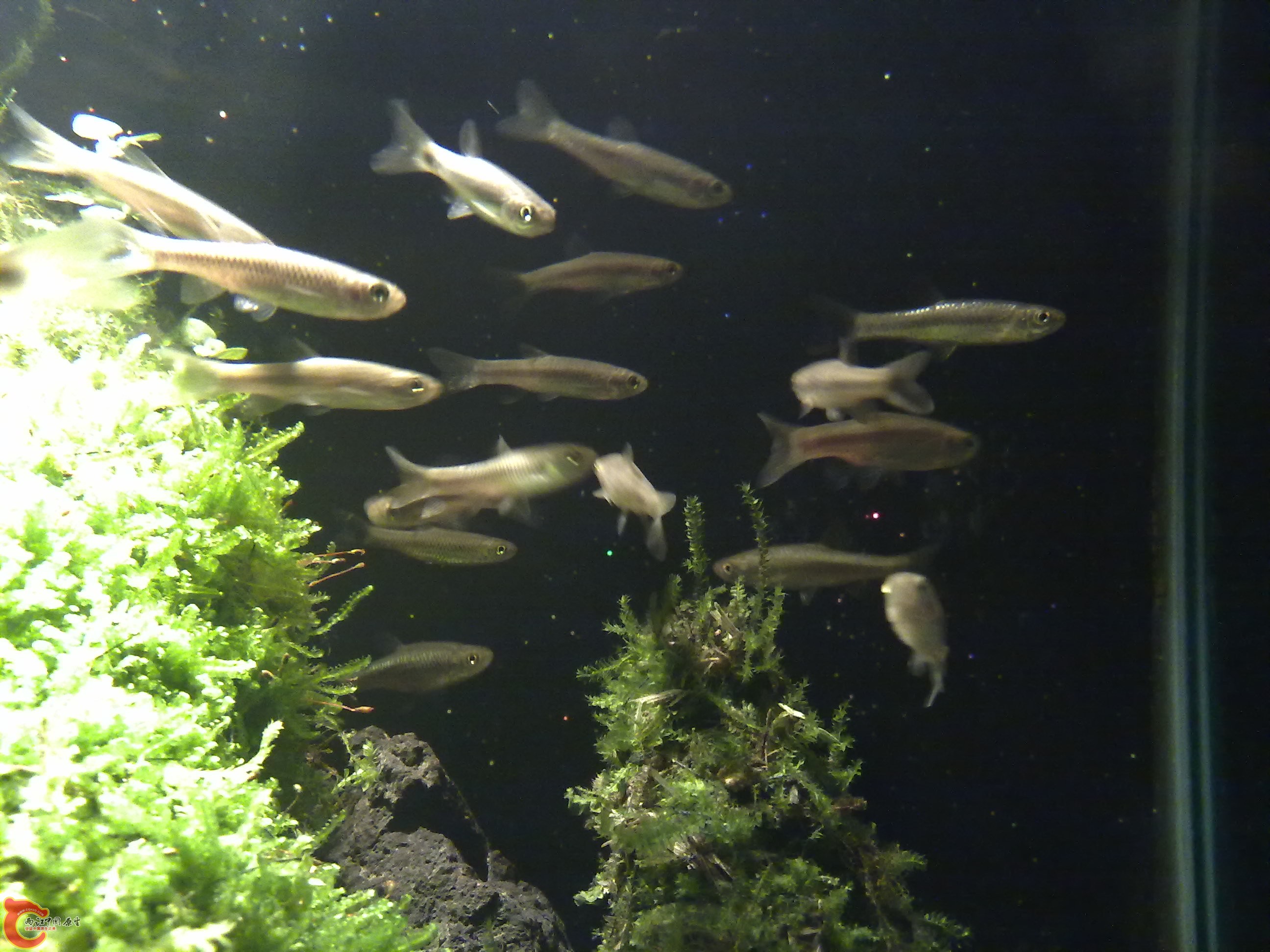 20110301055.jpg