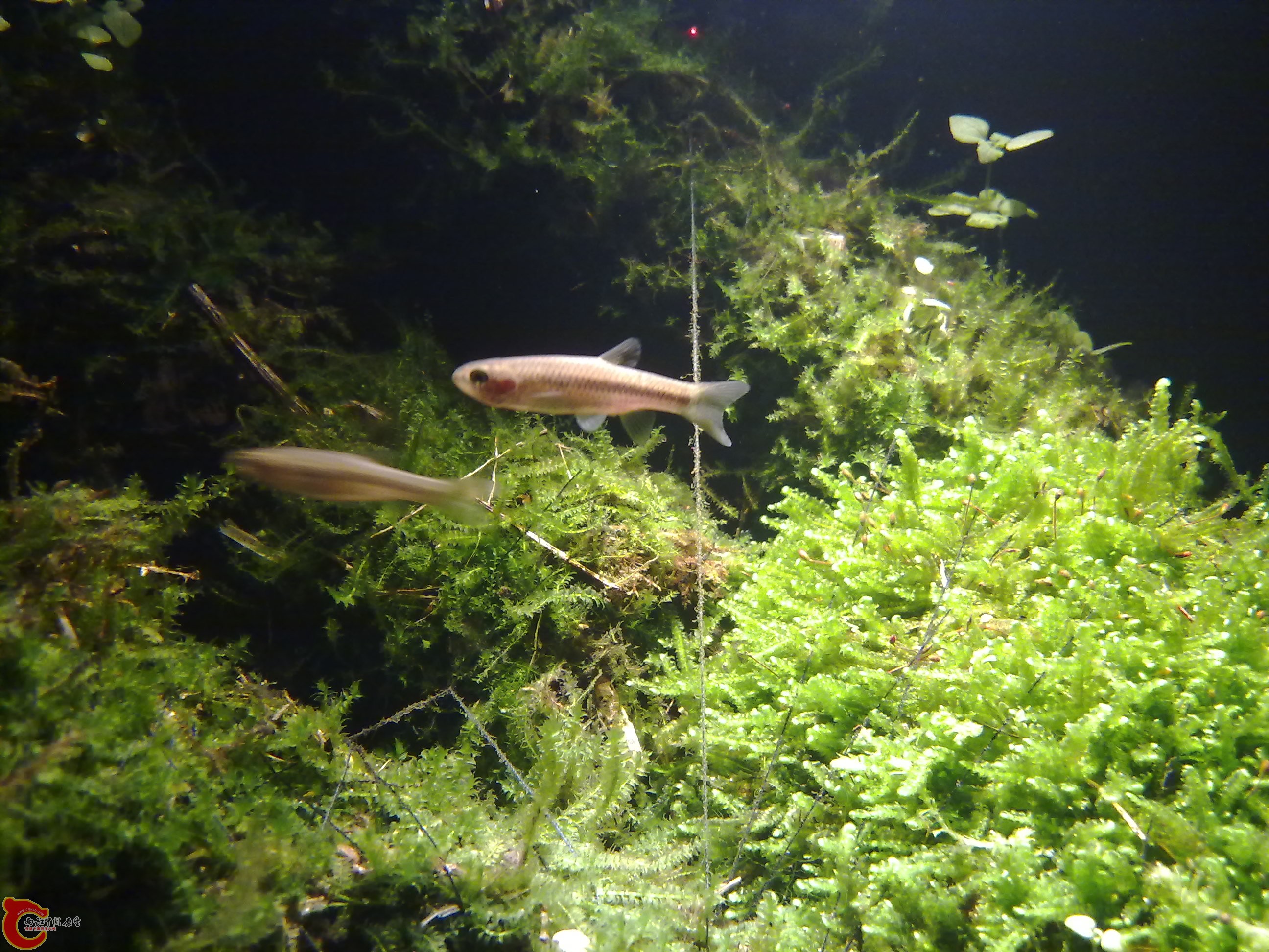 20110301073.jpg