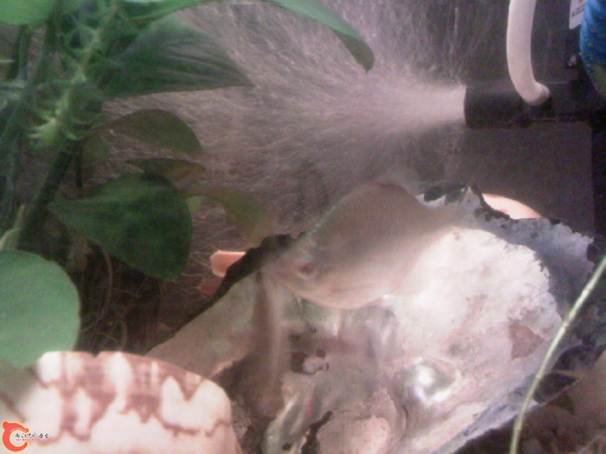 110302A000.jpg