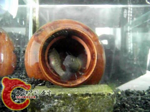 20110308153142.jpg