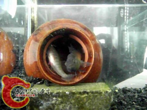 20110308153204.jpg