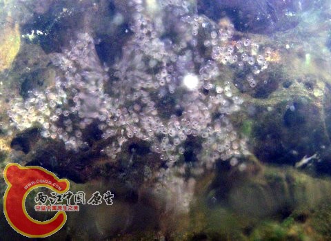 照片 069.jpg