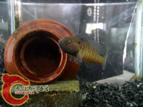 照片 070.jpg