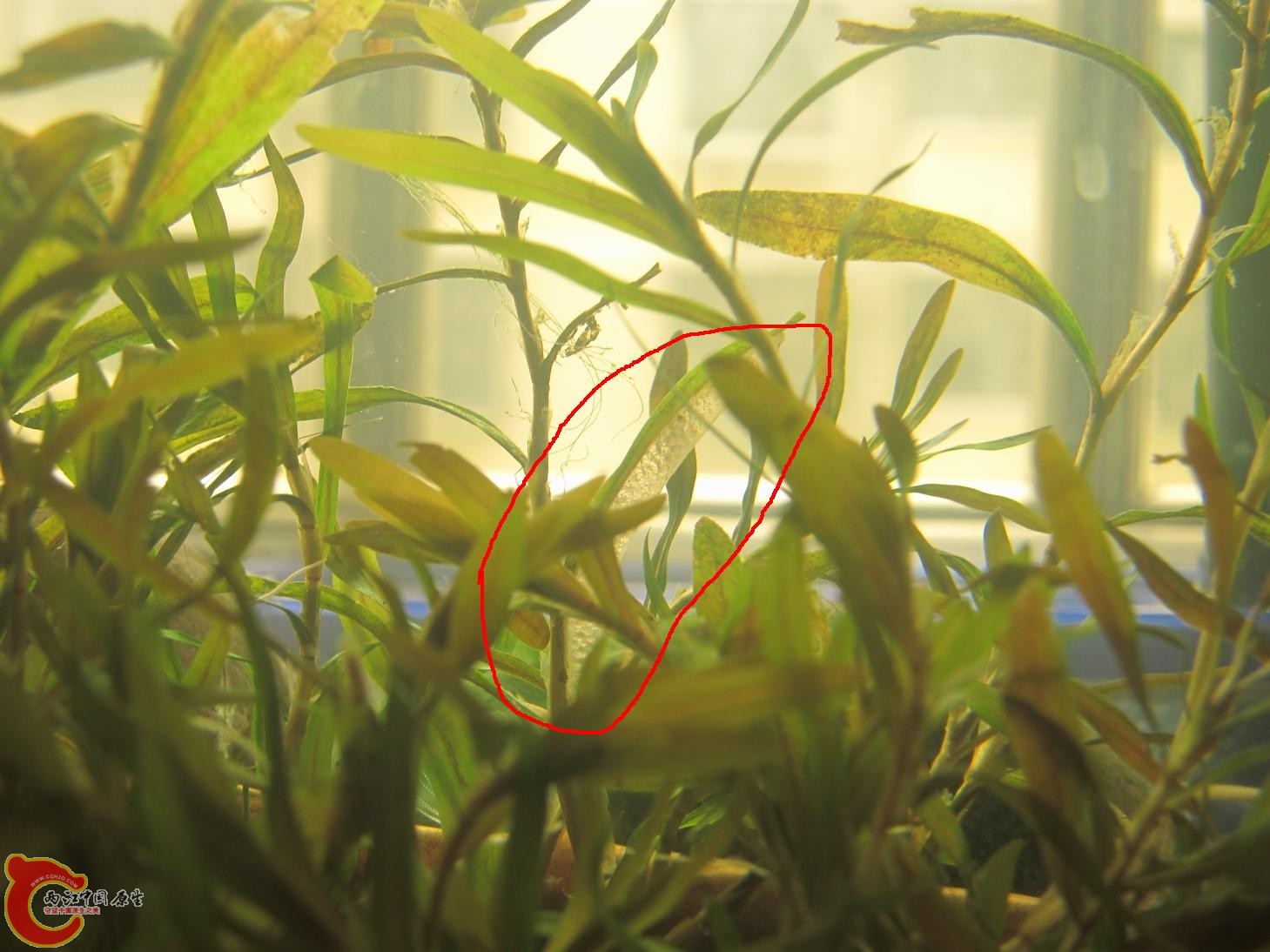 复件 复件 照片 001.jpg