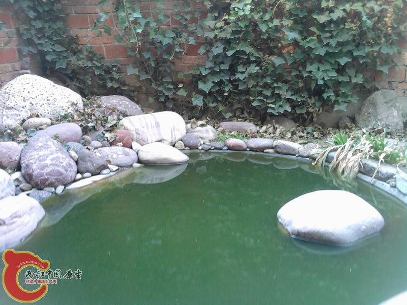 照片-0059.jpg