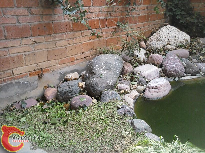 照片-0061.jpg