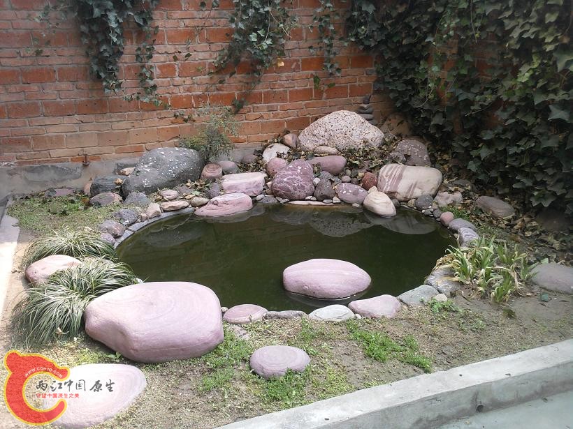 照片-0064.jpg