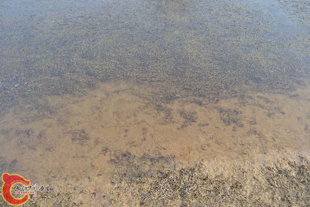 20110312110.JPG