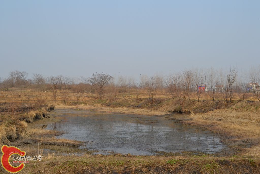 20110312106.JPG