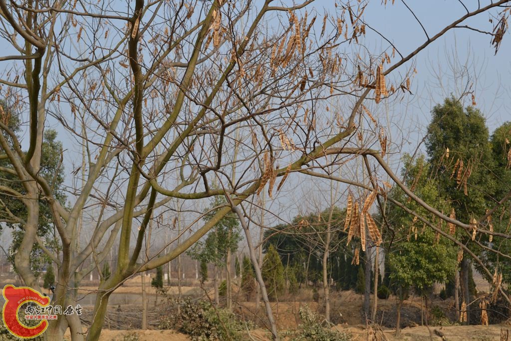 20110312131.JPG
