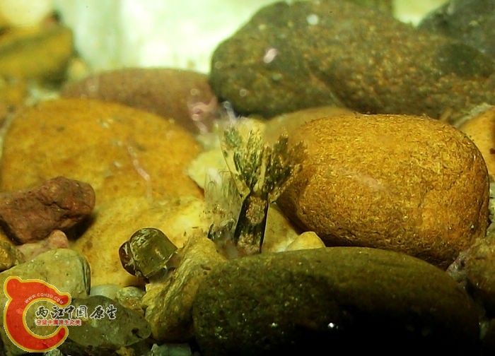 DSCF3074.jpg