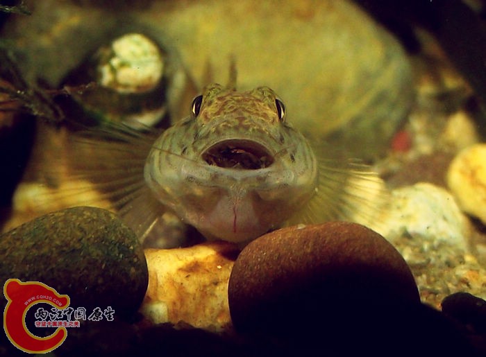 DSCF3072.jpg