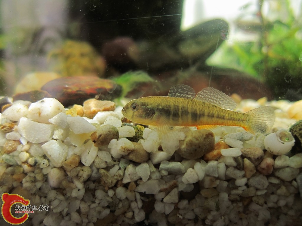 照片 068.jpg